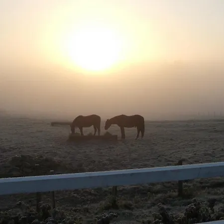 La Gaucherie Aux Dames Bed & Breakfast 3*
