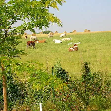 Couette-café La Gaucherie Aux Dames