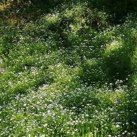 La Gaucherie Aux Dames Couette-café
