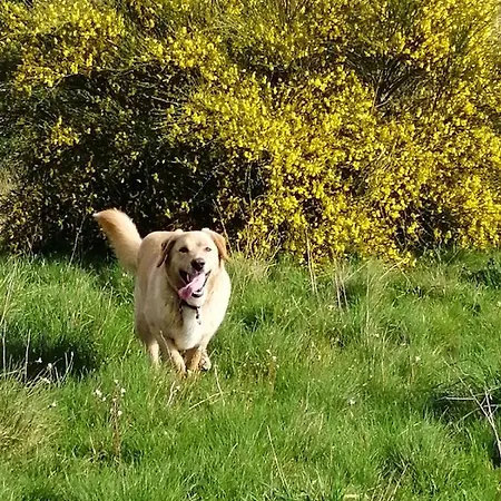 La Gaucherie Aux Dames Vihiers