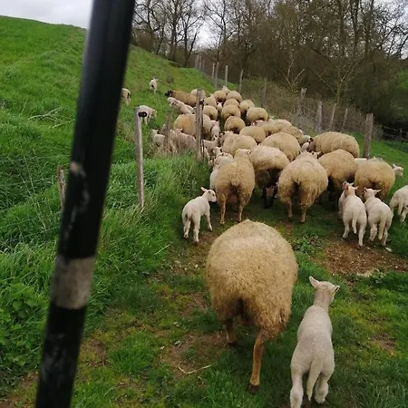 La Gaucherie Aux Dames Bed & Breakfast 3*